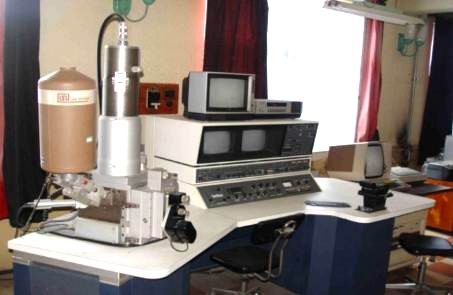 Scanning electron microscope